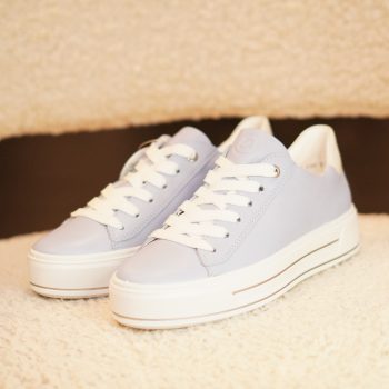 Collections Image du produit